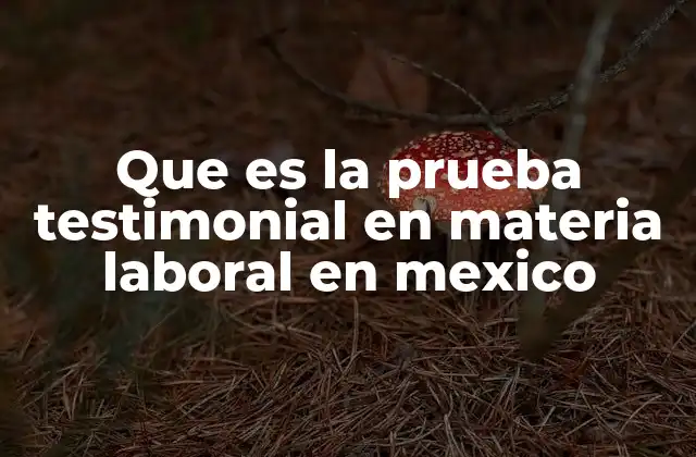 Que es la Prueba Testimonial en Materia Laboral en Mexico