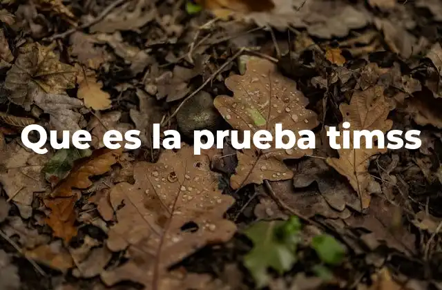 Que es la Prueba Timss