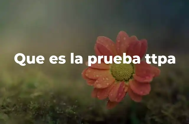Que es la Prueba Ttpa