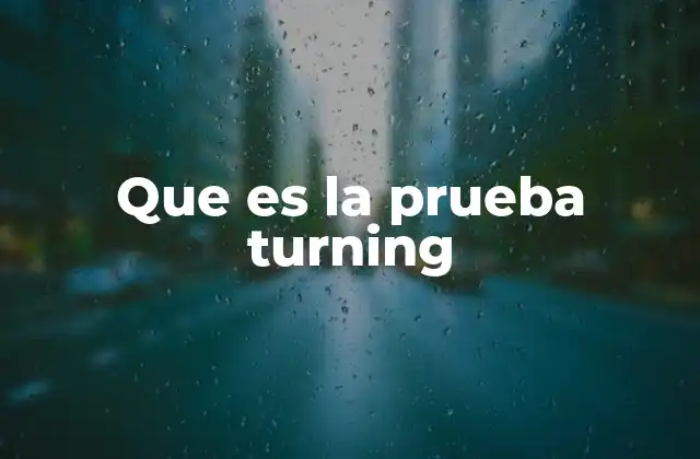 Que es la Prueba Turning