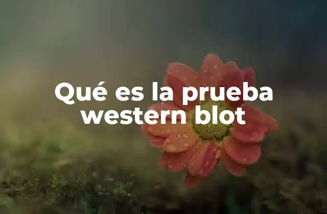 Qué es la Prueba Western Blot 2 Una mirada al funcionamiento de la prueba de detección proteica