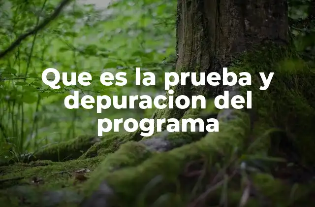 Cómo la validación funcional complementa el proceso de prueba y depuración