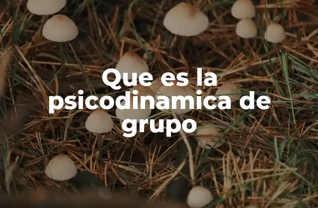 Que es la Psicodinamica de Grupo 2 El funcionamiento interno de los grupos humanos