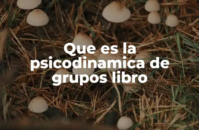 Que es la Psicodinamica de Grupos Libro