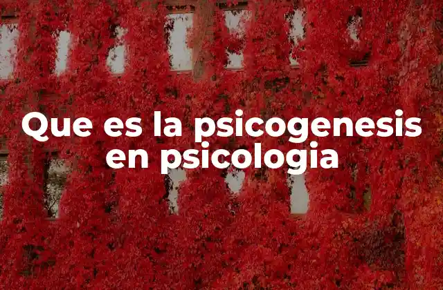 Que es la Psicogenesis en Psicologia