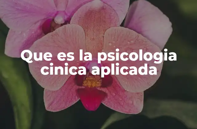 Que es la Psicologia Cinica Aplicada