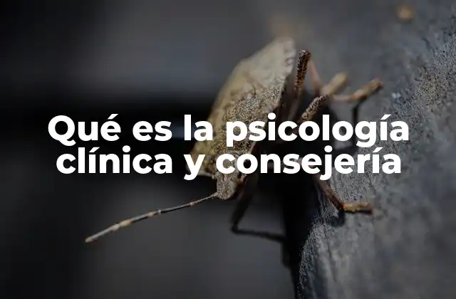 Qué es la Psicología Clínica y Consejería