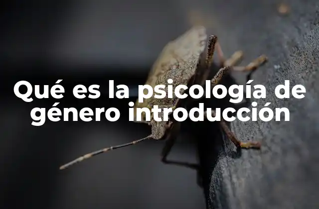 Qué es la Psicología de Género Introducción
