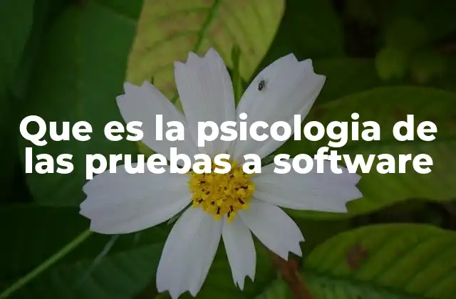 Que es la Psicologia de las Pruebas a Software