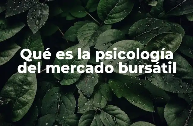 Qué es la Psicología Del Mercado Bursátil