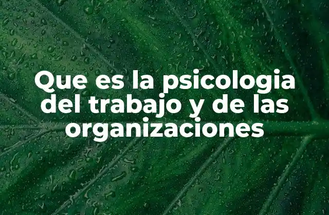 Que es la Psicologia Del Trabajo y de las Organizaciones