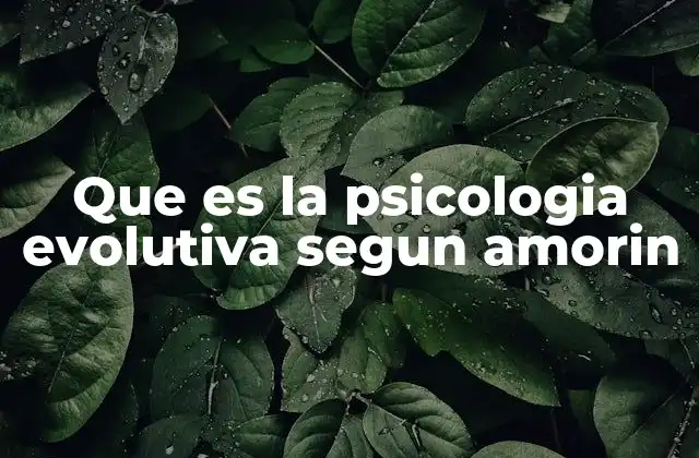 Que es la Psicologia Evolutiva Segun Amorin
