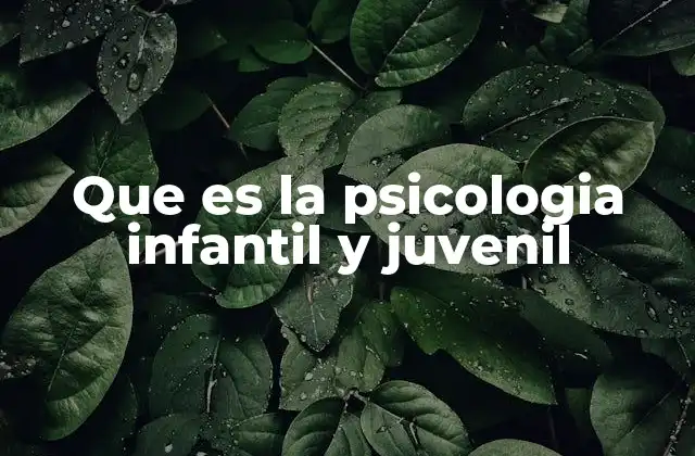 Que es la Psicologia Infantil y Juvenil 2 El enfoque integral de la psicología del desarrollo en menores