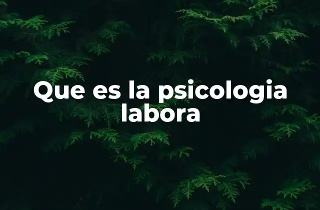 Que es la Psicologia Labora