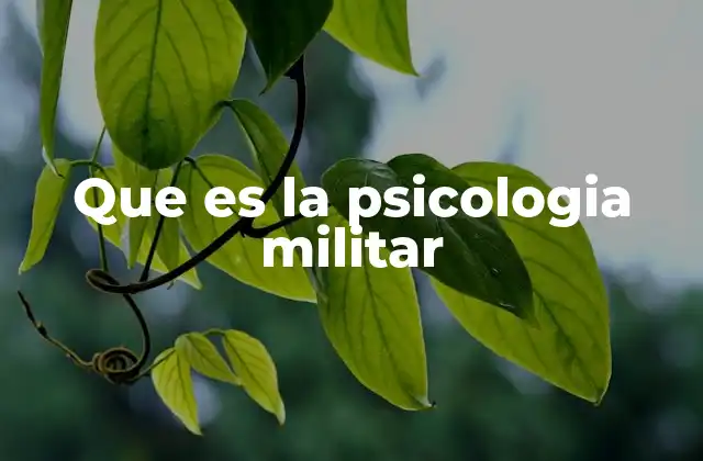 El rol de la psicología en la formación de tropas