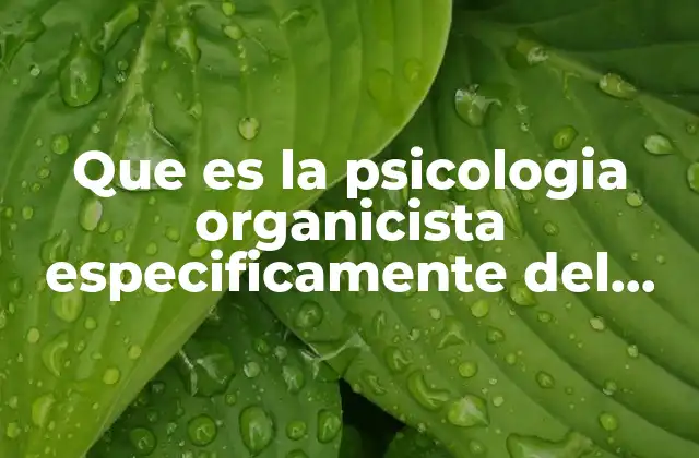 Que es la Psicologia Organicista Especificamente Del Adulto