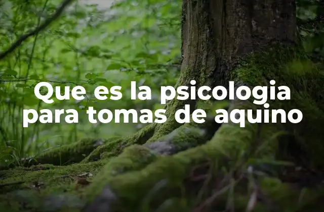 Que es la Psicologia para Tomas de Aquino