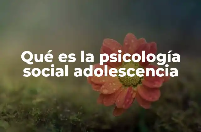 Qué es la Psicología Social Adolescencia