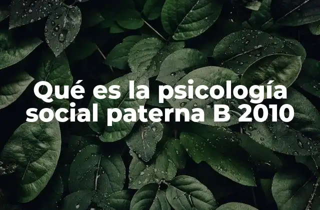 Qué es la Psicología Social Paterna B 2010