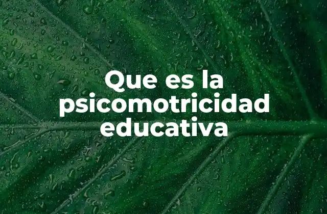 Que es la Psicomotricidad Educativa