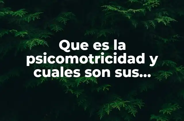 Que es la Psicomotricidad y Cuales Son Sus Principales Elementos
