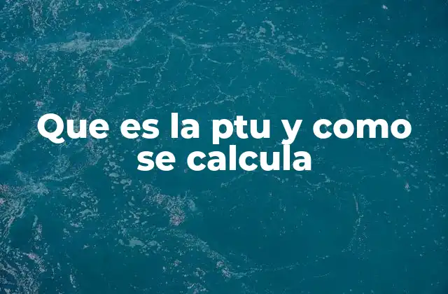 Que es la Ptu y como Se Calcula