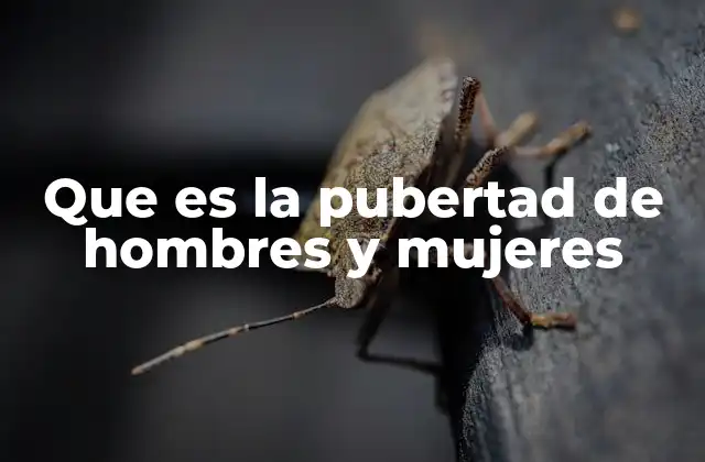 Que es la Pubertad de Hombres y Mujeres