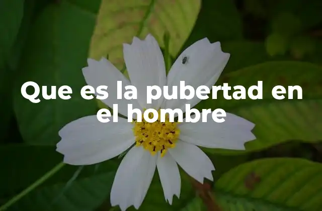 Que es la Pubertad en el Hombre