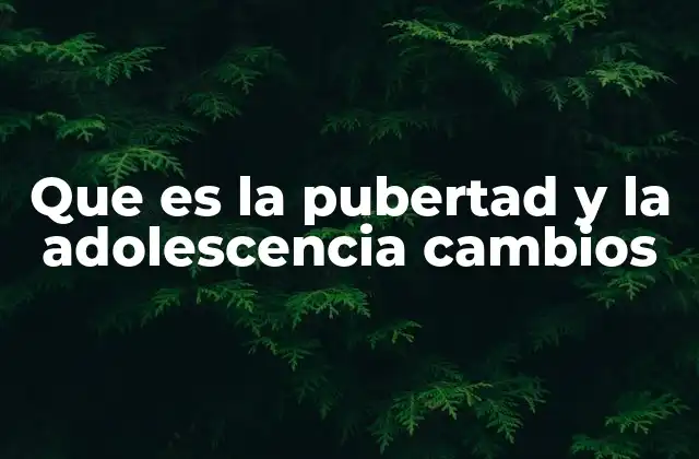 Que es la Pubertad y la Adolescencia Cambios 2 El crecimiento y la transformación en la etapa de transición