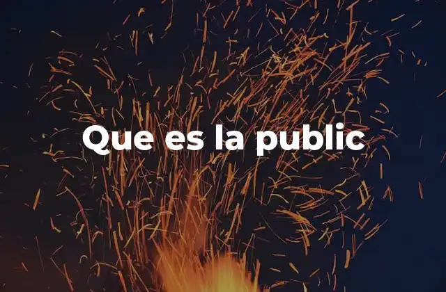 Que es la Public