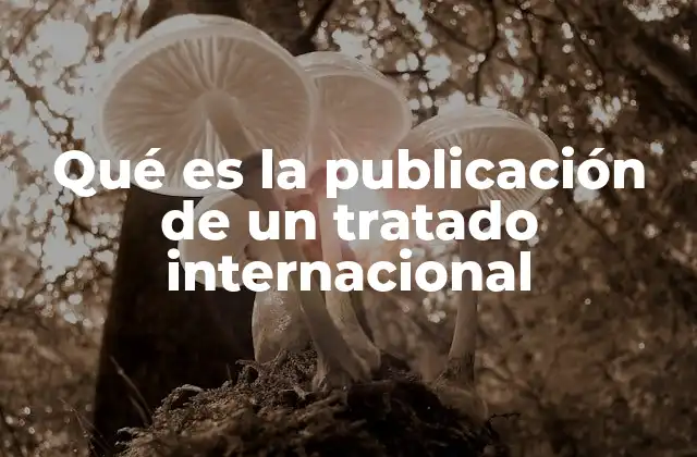 Qué es la Publicación de un Tratado Internacional 2 El rol de la publicidad en el derecho internacional