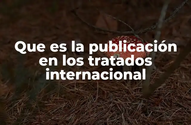 Que es la Publicación en los Tratados Internacional
