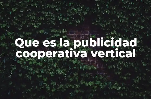 Que es la Publicidad Cooperativa Vertical