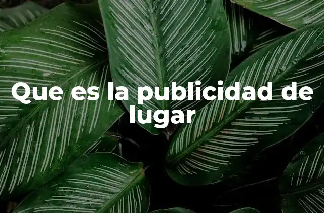 La importancia de la geolocalización en el marketing