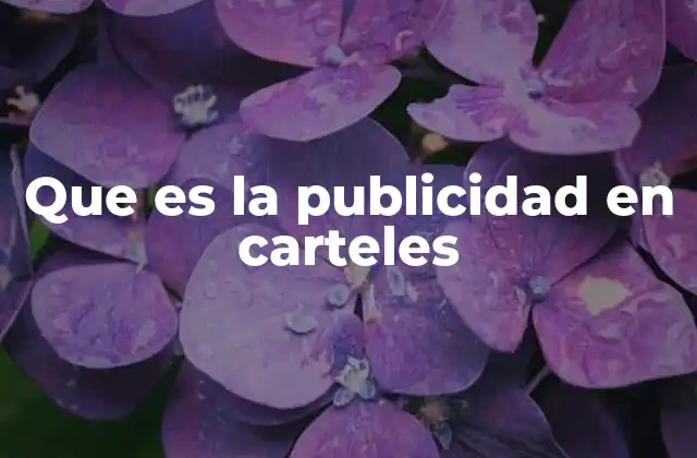 Que es la Publicidad en Carteles