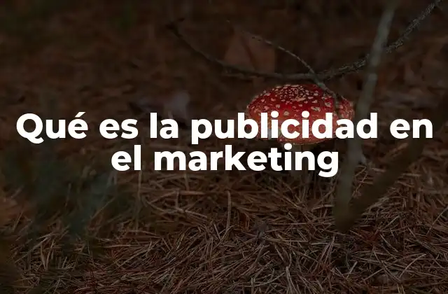 Qué es la Publicidad en el Marketing