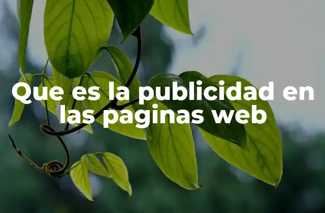 Que es la Publicidad en las Paginas Web