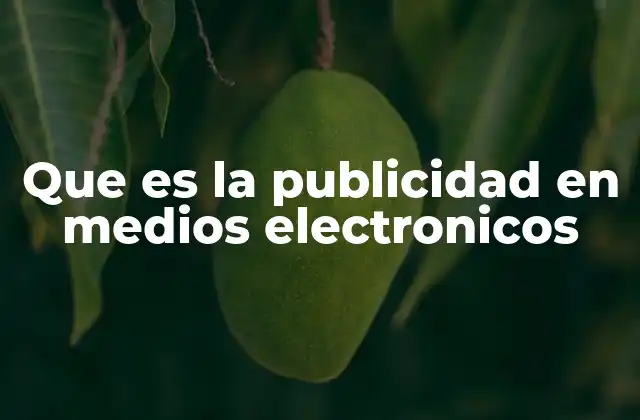 Que es la Publicidad en Medios Electronicos