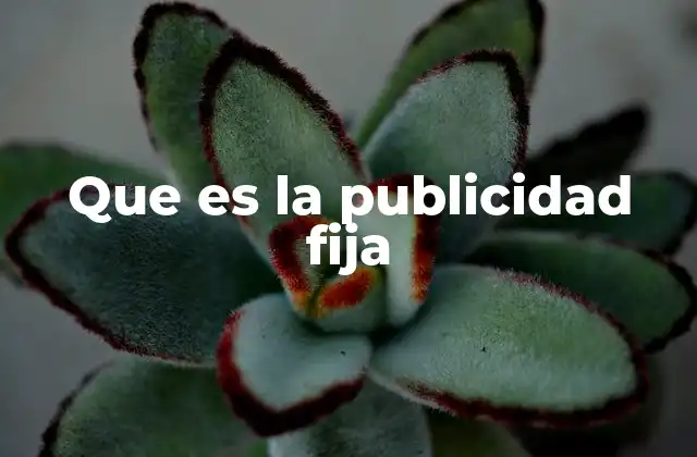 Que es la Publicidad Fija
