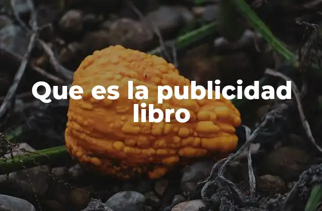 Que es la Publicidad Libro 20 Cómo se desarrolla la promoción de una obra literaria