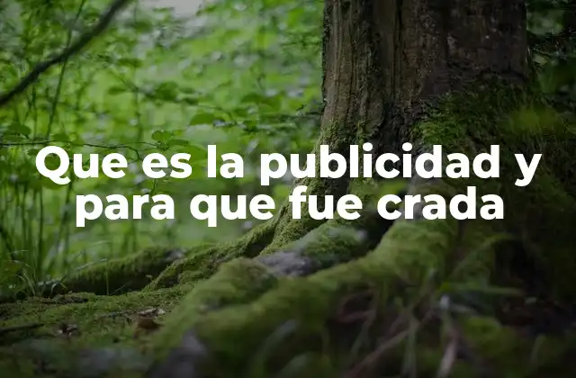 Que es la Publicidad y para que Fue Crada