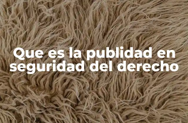 Que es la Publidad en Seguridad Del Derecho