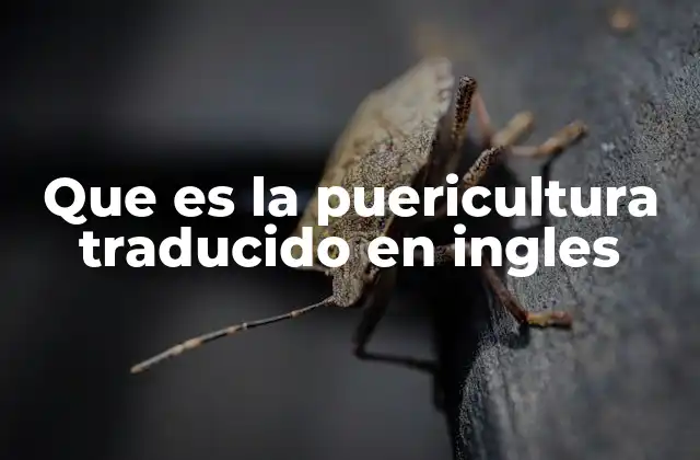 Que es la Puericultura Traducido en Ingles