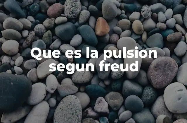 Que es la Pulsion Segun Freud