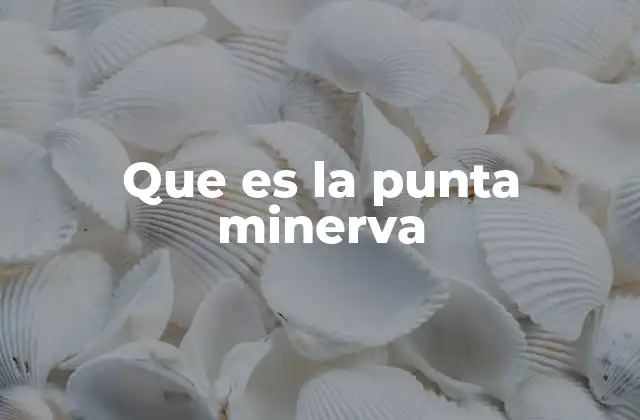 Que es la Punta Minerva 2 La evolución de las herramientas de corte y su impacto en la industria