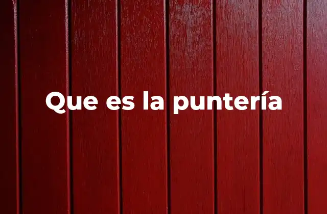 Que es la Puntería