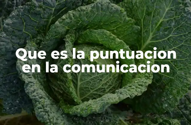 Que es la Puntuacion en la Comunicacion