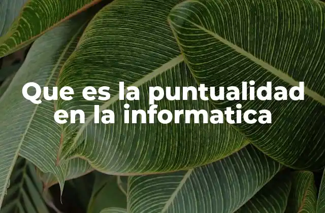 Que es la Puntualidad en la Informatica