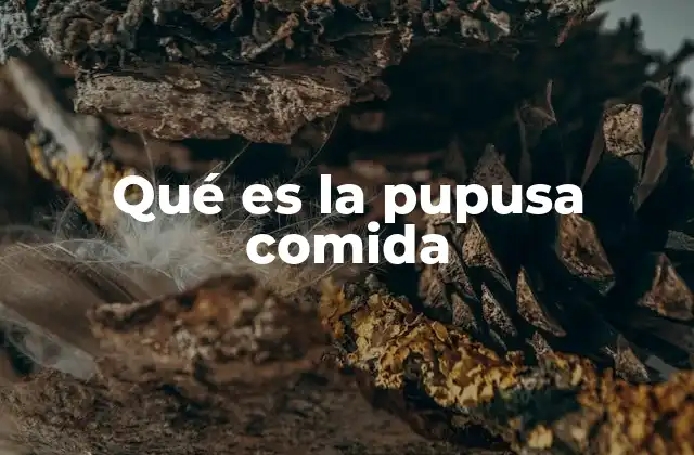 Qué es la Pupusa Comida 2 Origen y evolución de esta comida tradicional