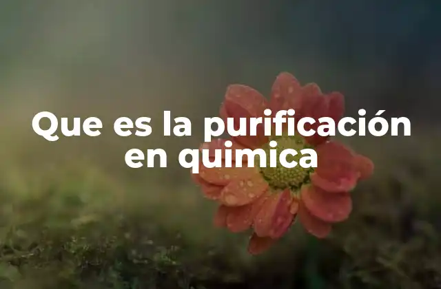 Que es la Purificación en Quimica